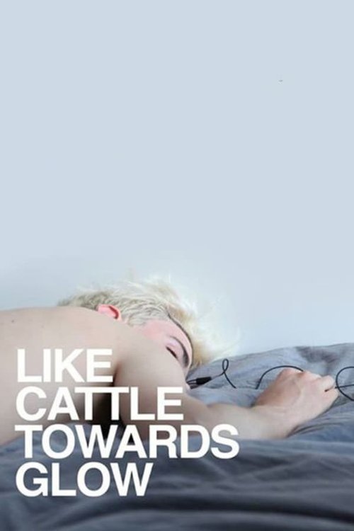 Like Cattle Towards Glow (2015)